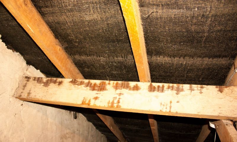 Attic Ceiling Repair