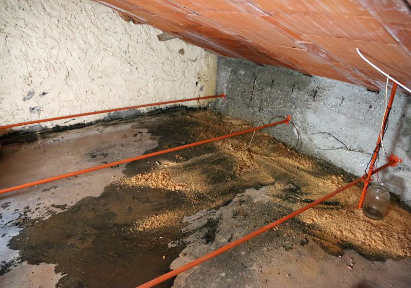 Attic Ceiling Repair