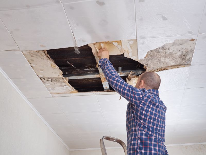 Attic Ceiling Repair