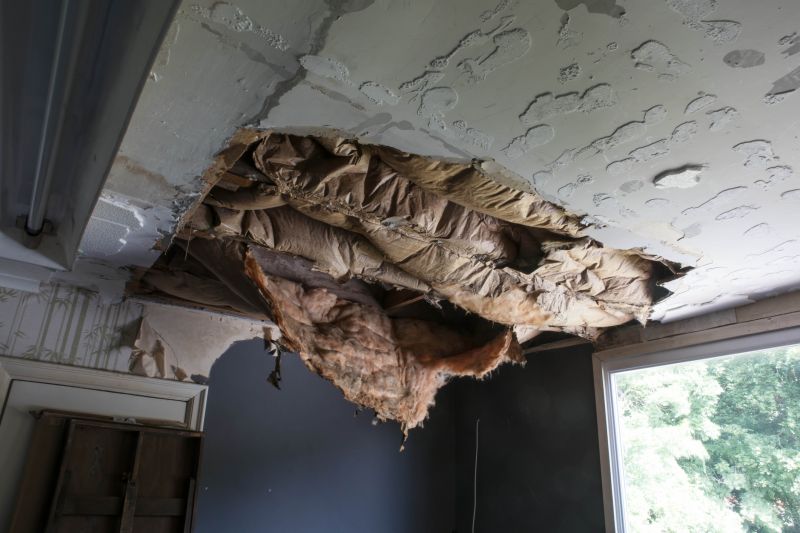 Damaged Attic Ceiling