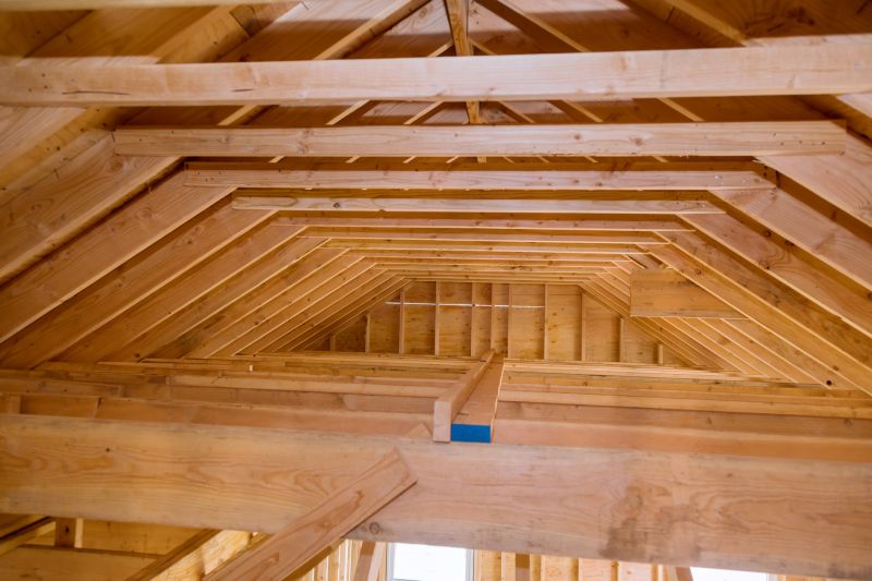 Carpenters for Attic Repairs